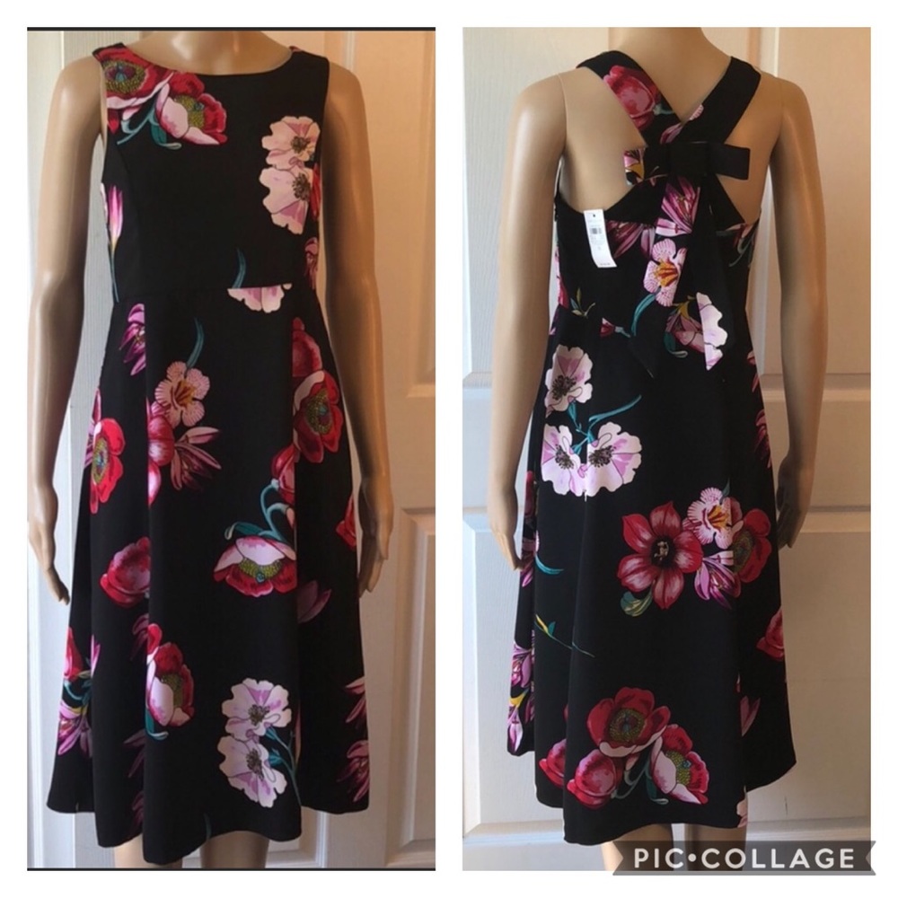 🆕 🌻 Ann Taylor Factory Floral Print Dress Sz 0